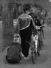 Benutzerbild von fuxbux